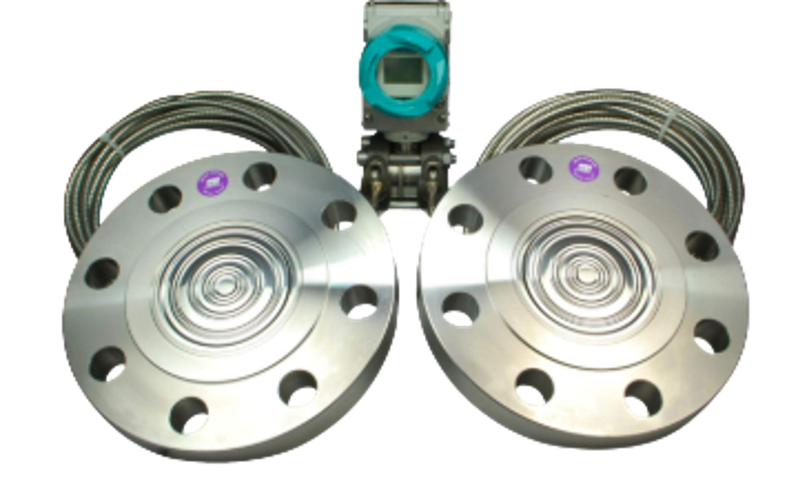 SITRANS P REMOTE SEALS